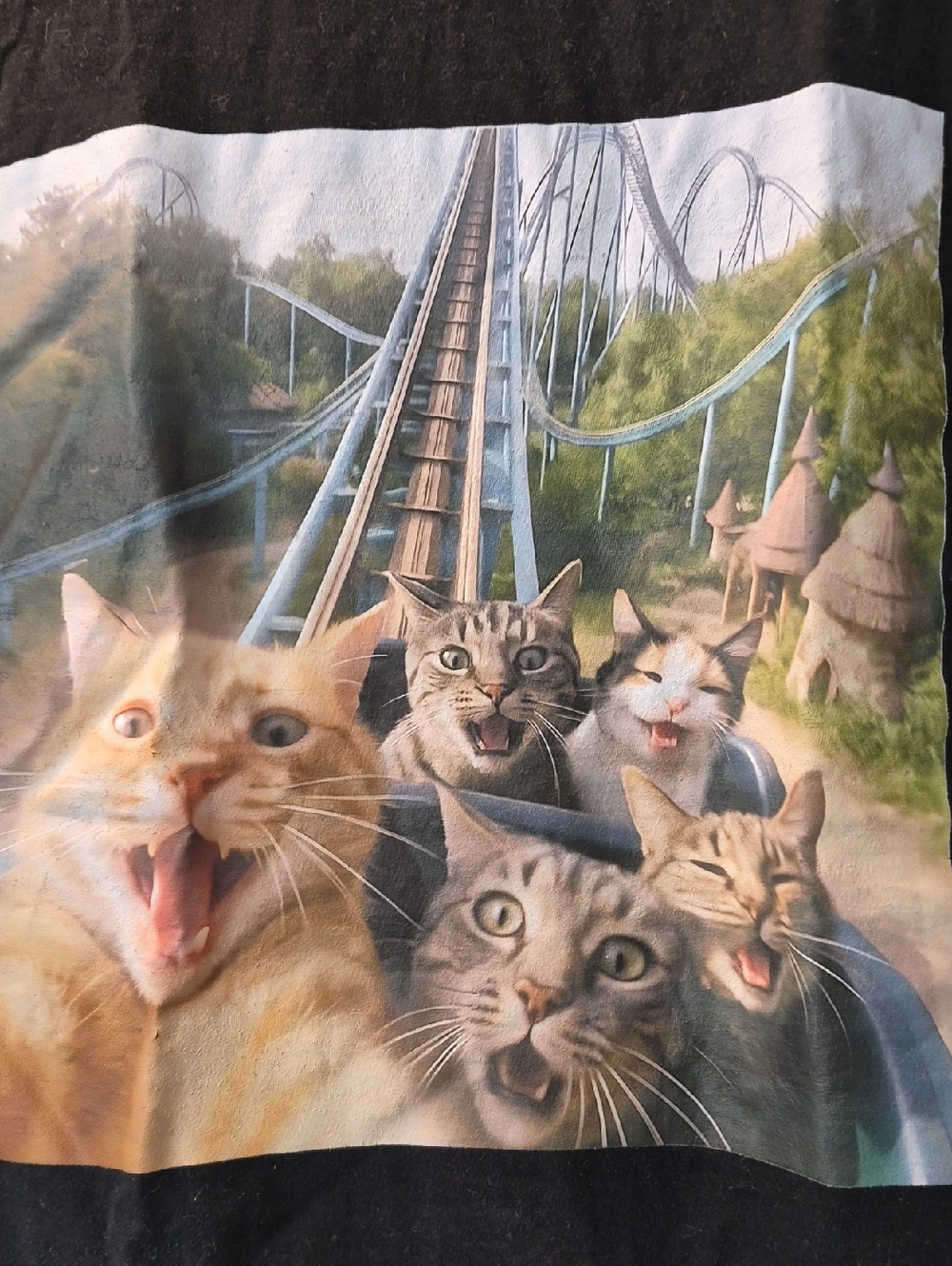 Funny Cat Roller Coaster Graphic Funny Womens Black Cotton T Shirt Sz M